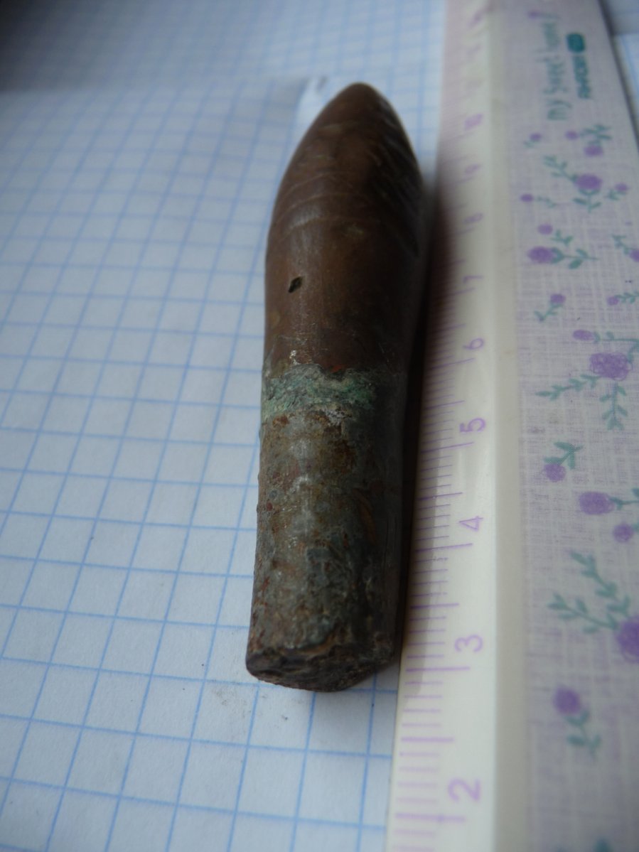 P1070033.JPG