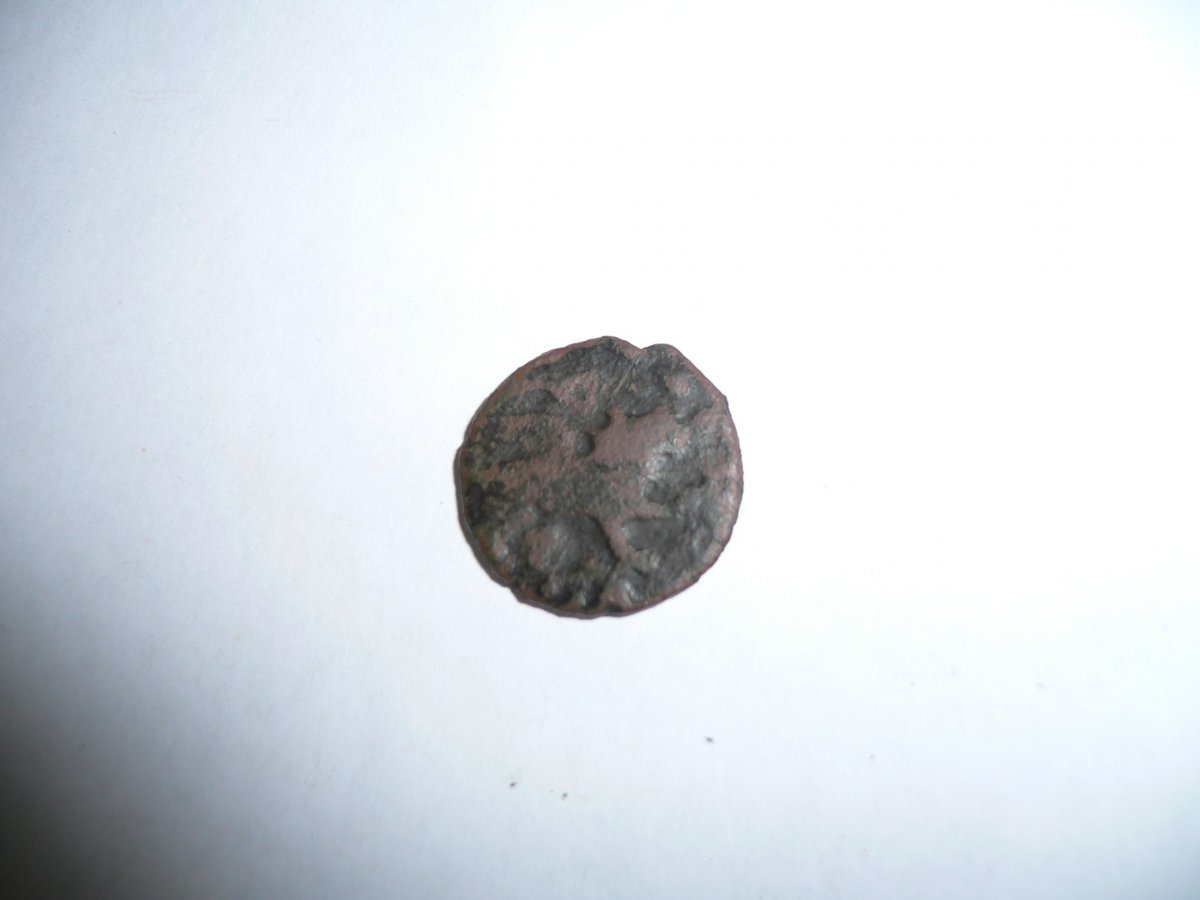 P1080531.JPG