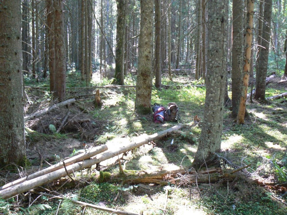 P1100618.JPG