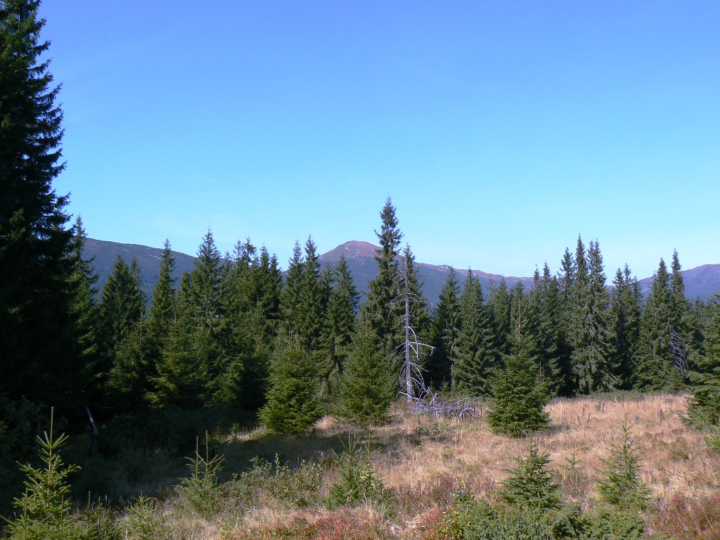 P1100641.JPG
