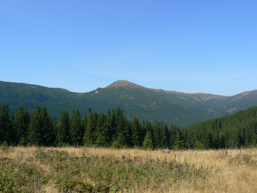 P1100668.JPG