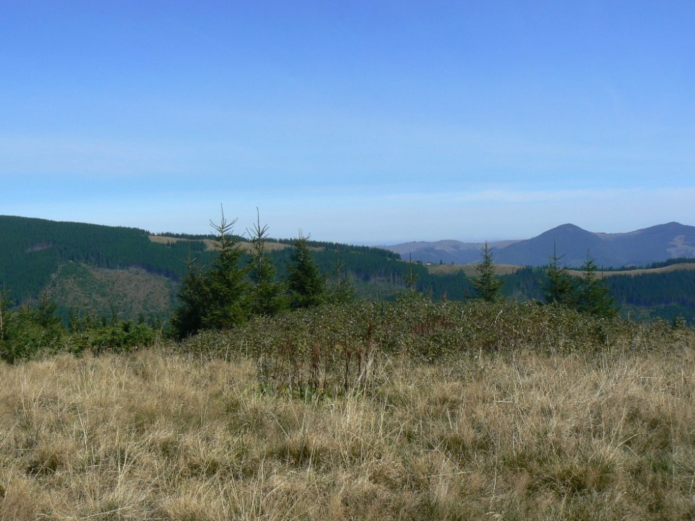 P1100672.JPG