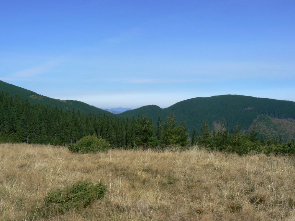 P1100674.JPG