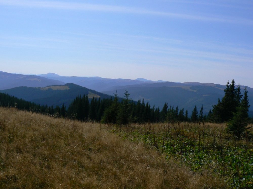 P1100685.JPG