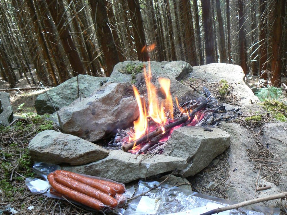 P1100698.JPG