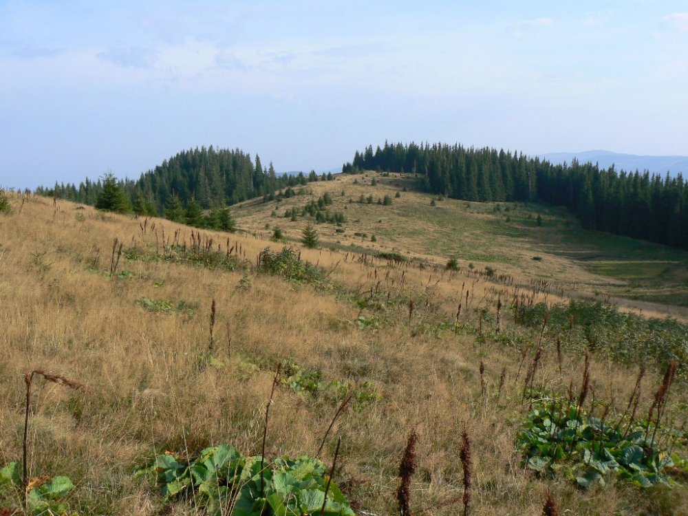 P1100706.JPG