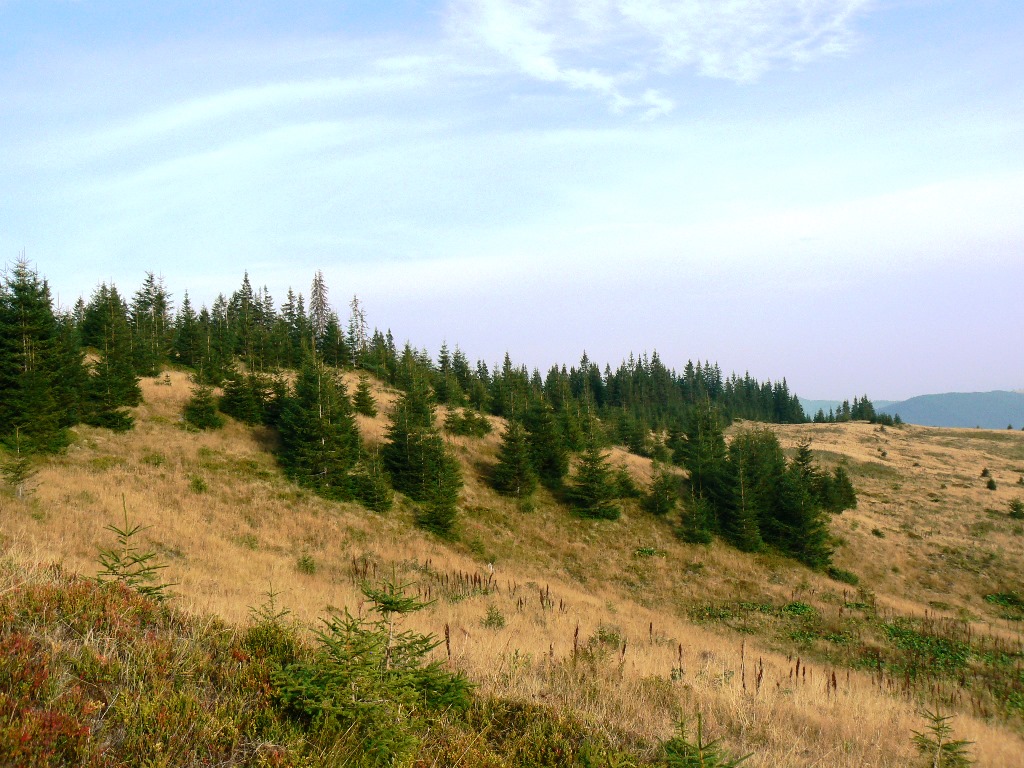 P1100737.JPG