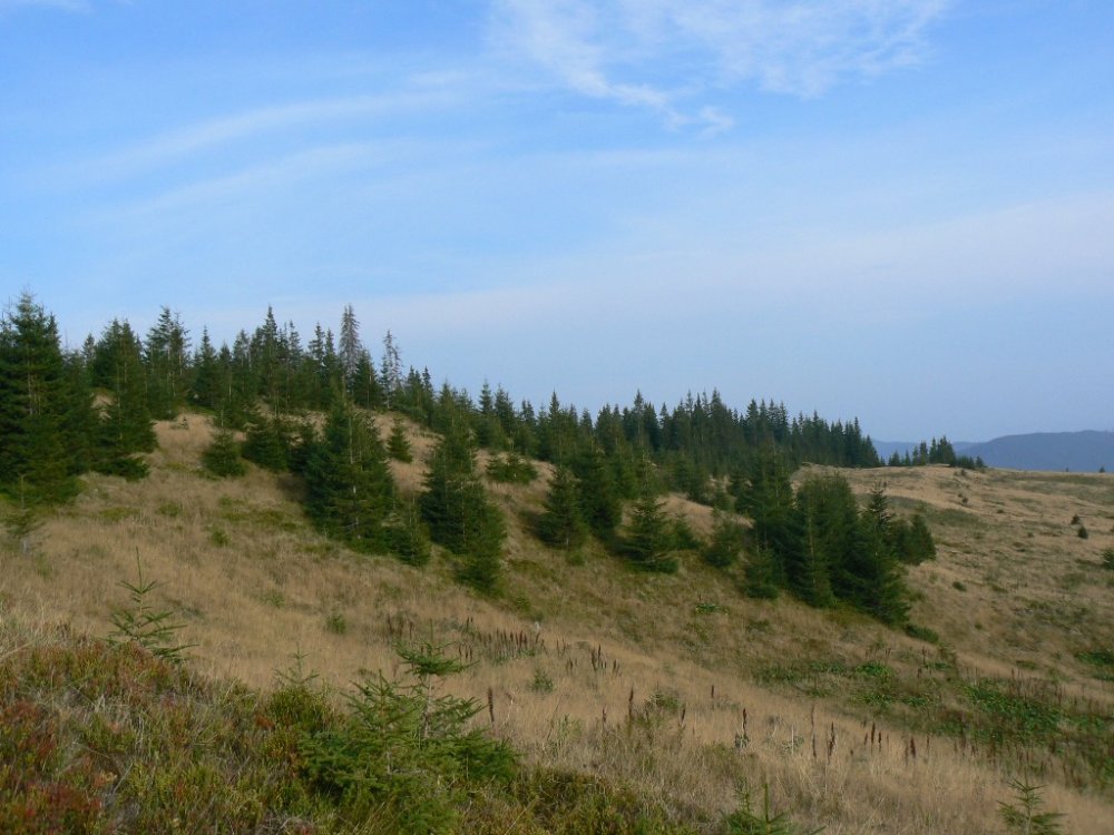 P1100738.JPG