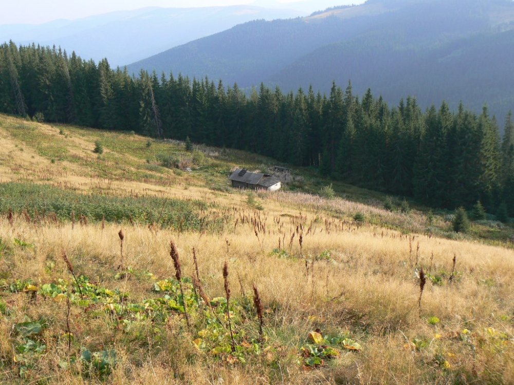 P1100741.JPG