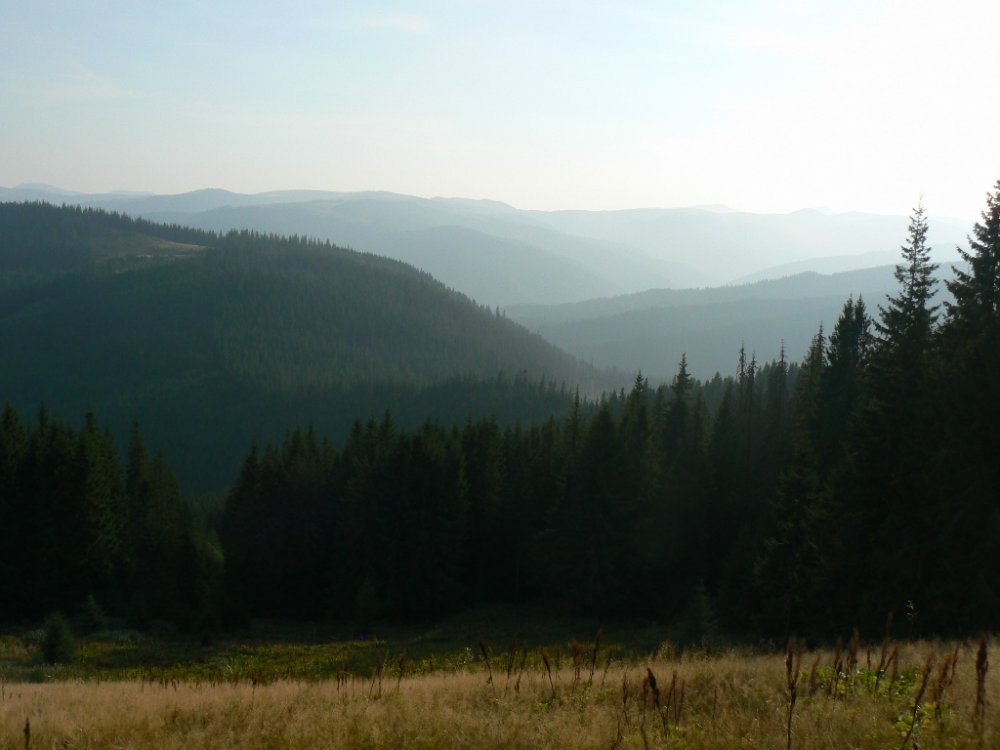 P1100743.JPG