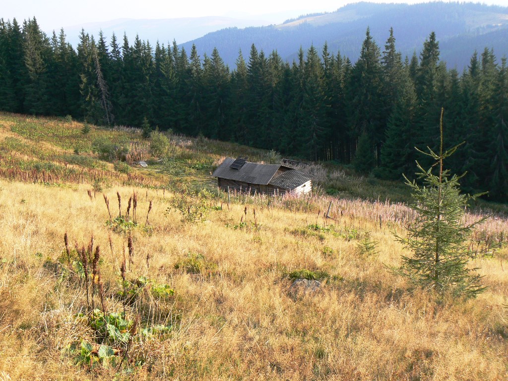 P1100754.JPG