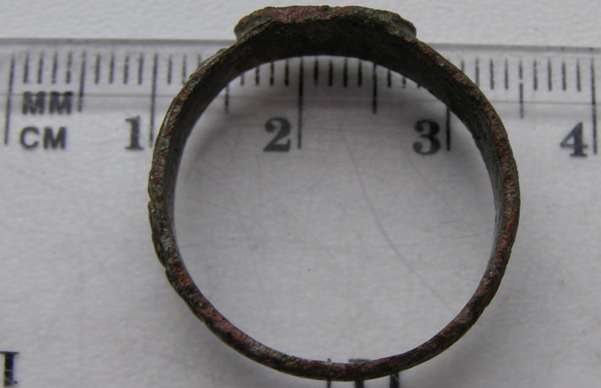 P1150004.JPG