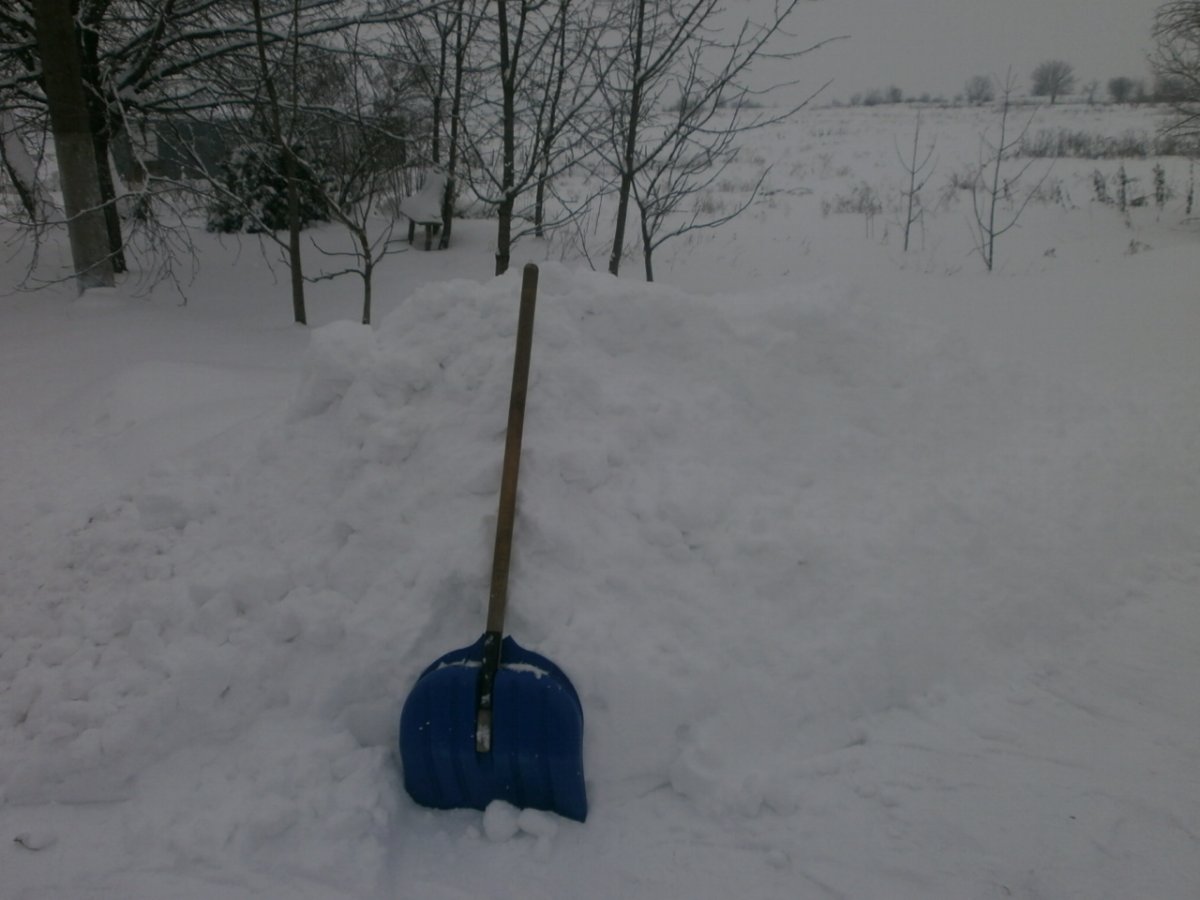 P1270001.JPG