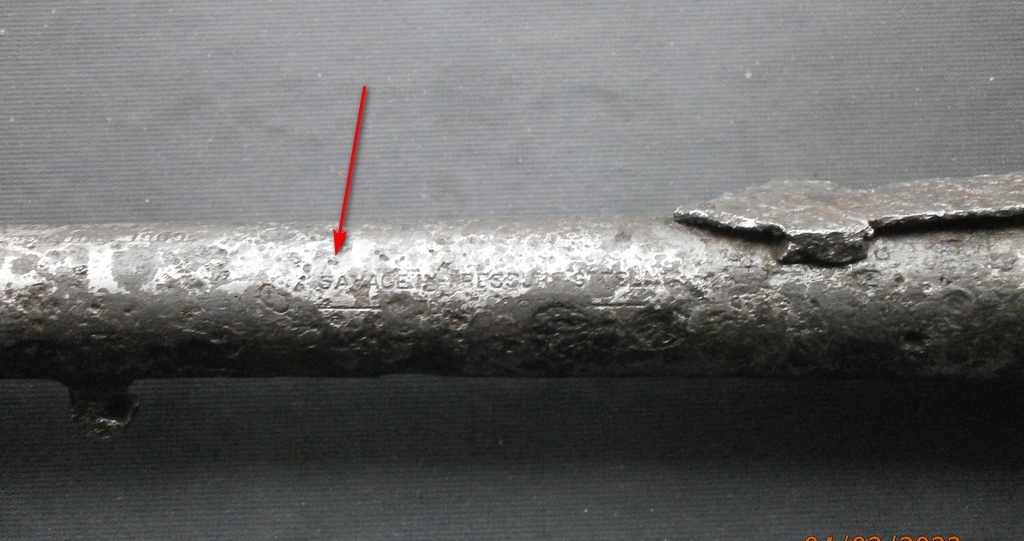 P2049587.JPG