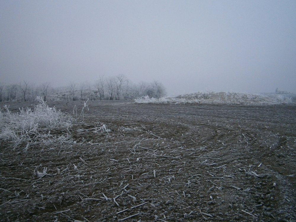 P2151276.JPG