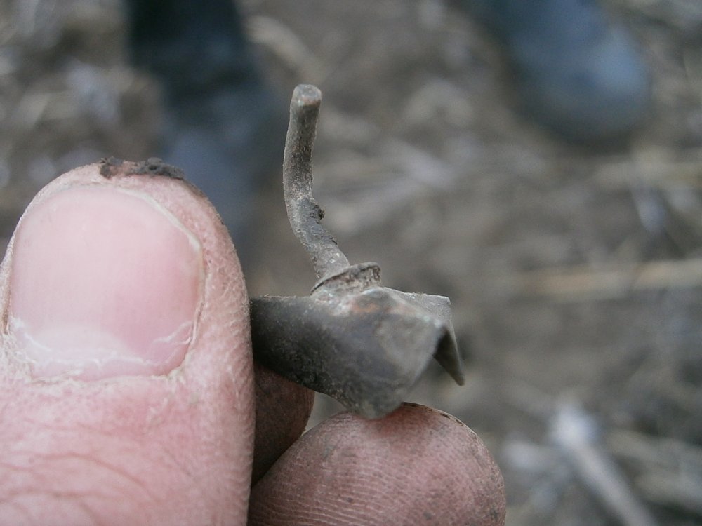 P2151286.JPG