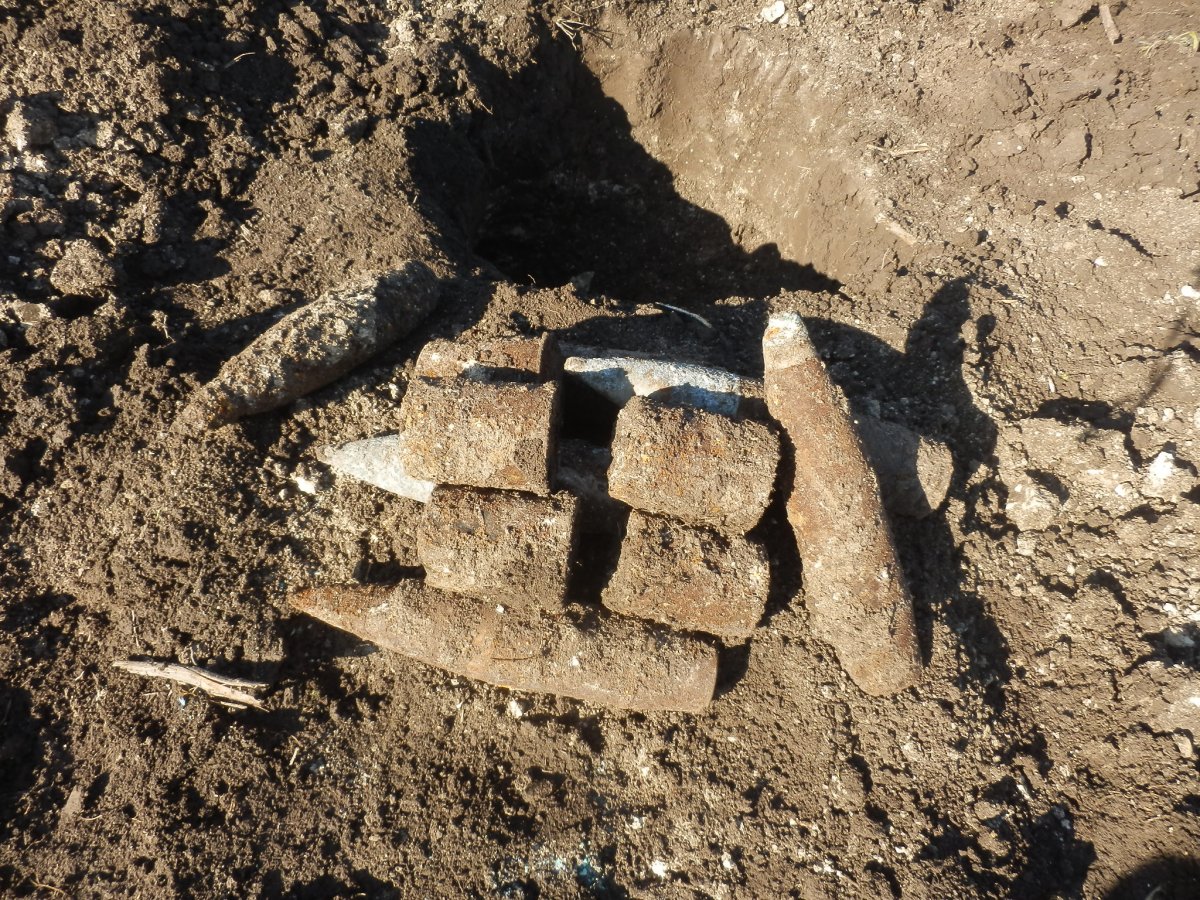 P2177142.JPG