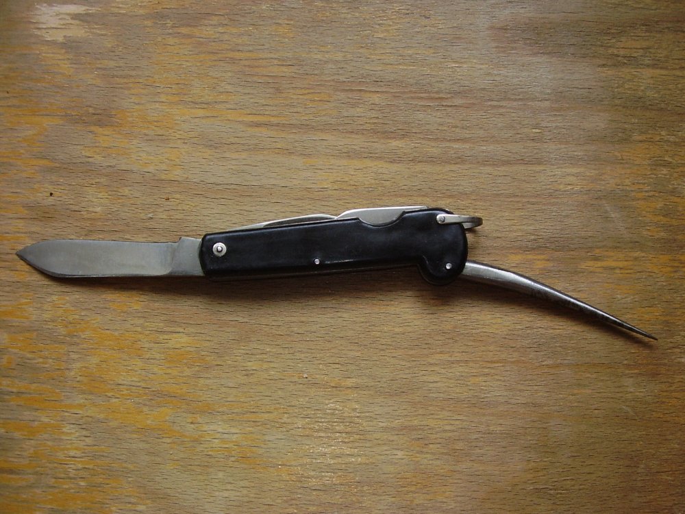 P2240422.JPG