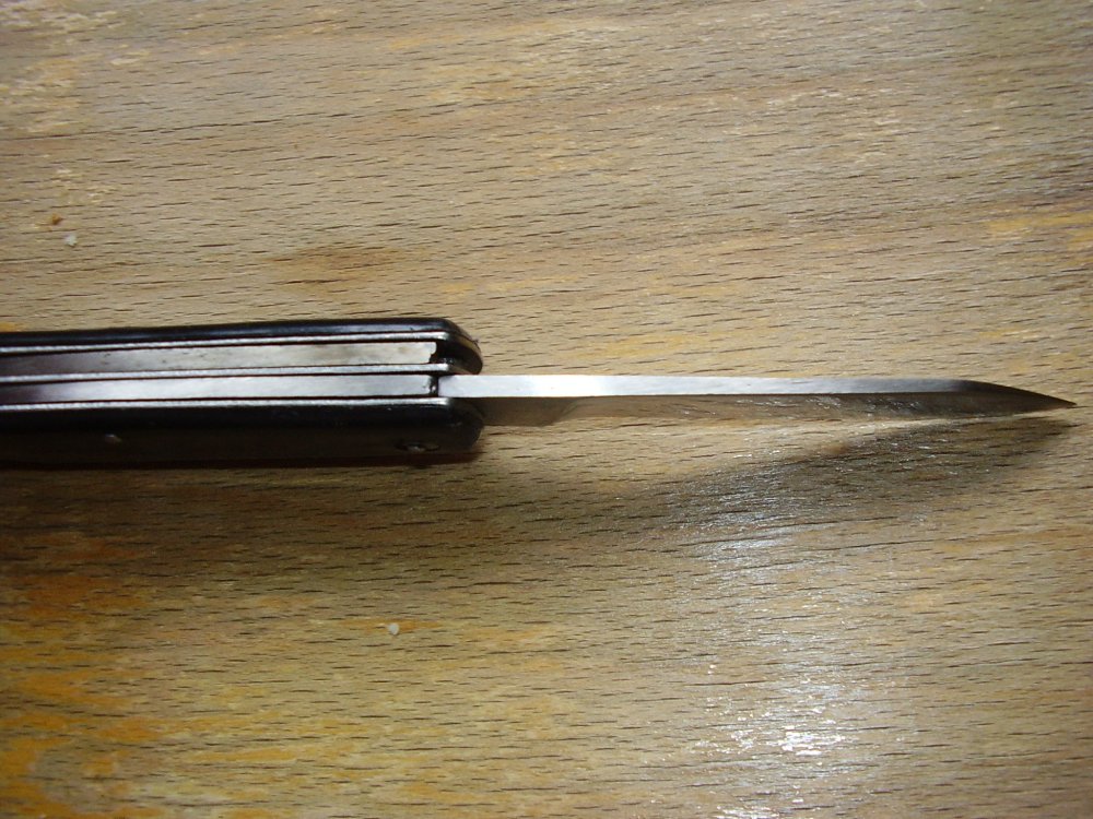 P2240428.JPG