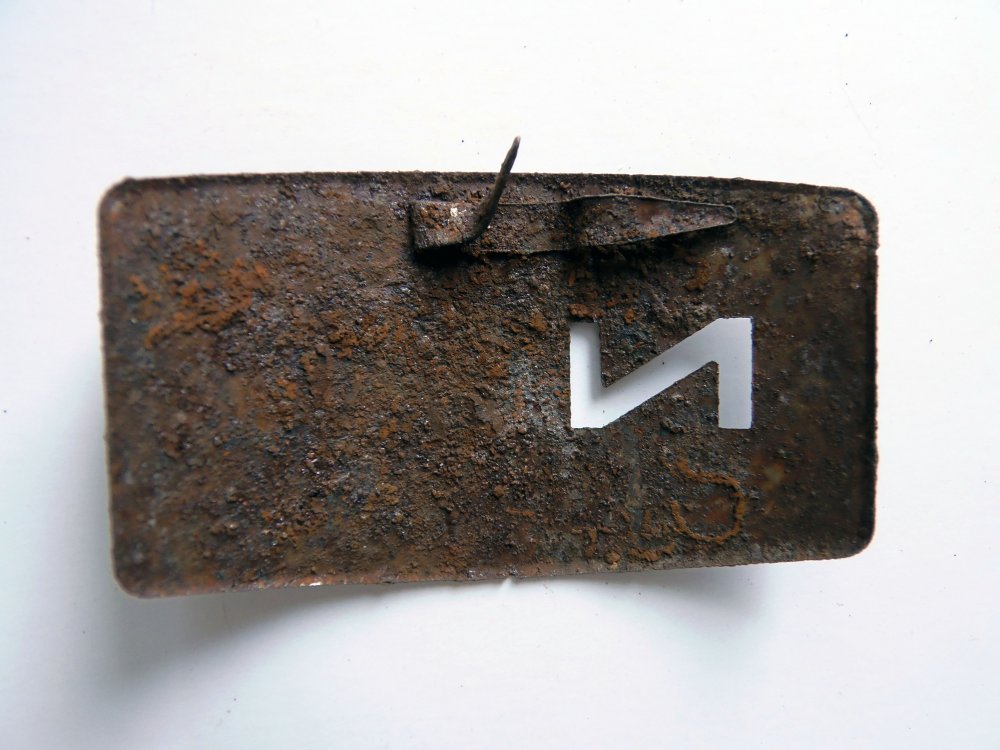 P40200021.jpg