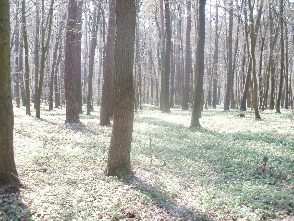 P4080867.JPG