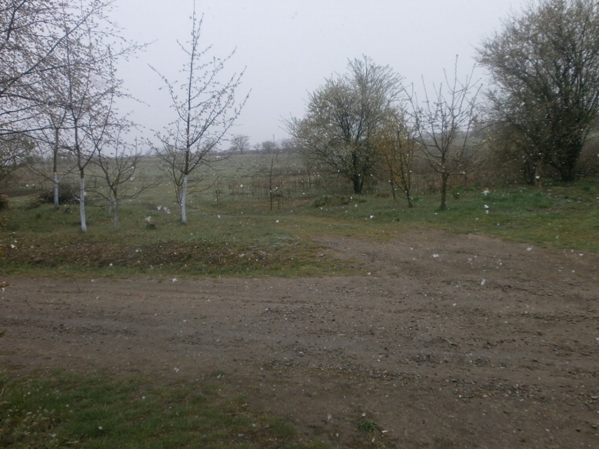 P4140024.JPG