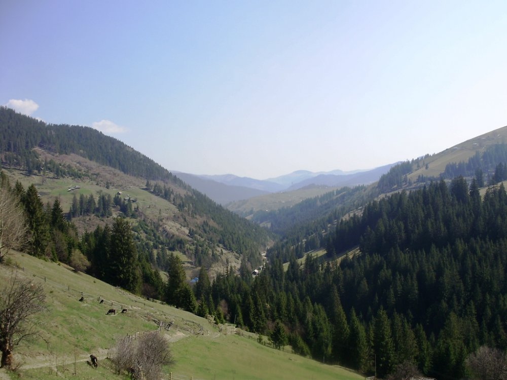 P4190288.JPG