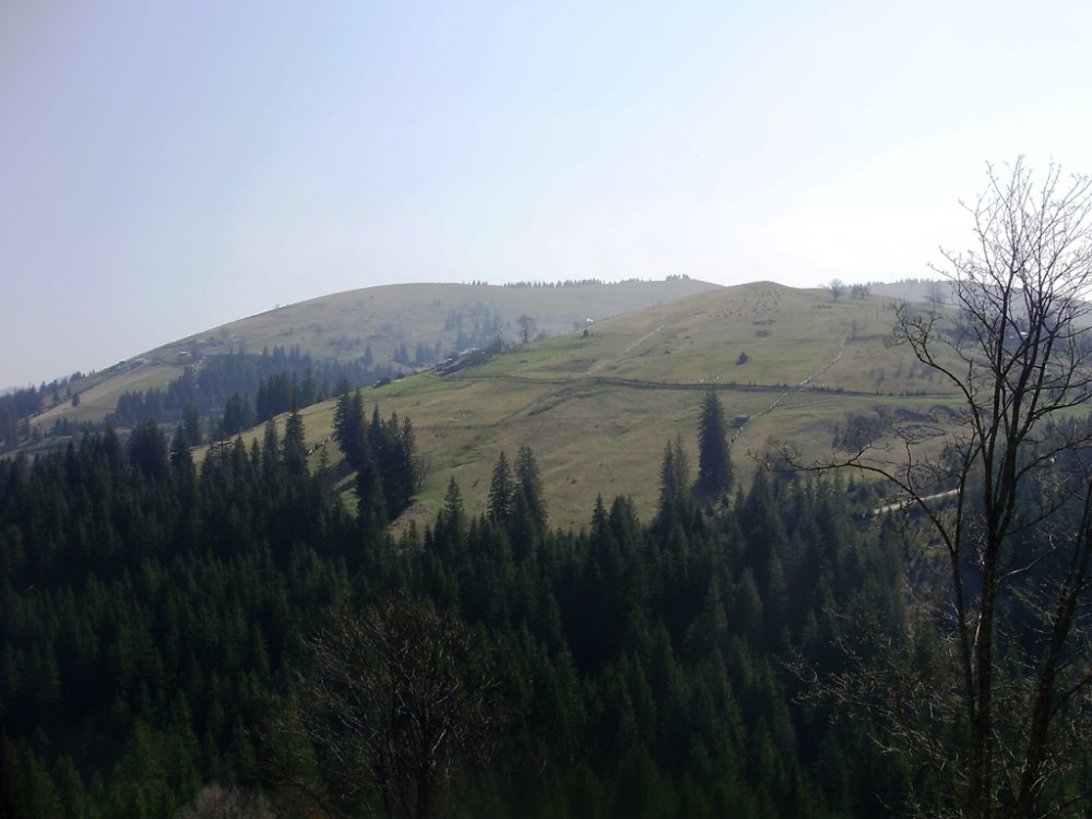 P4190289.JPG