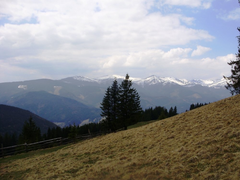 P4190294.JPG