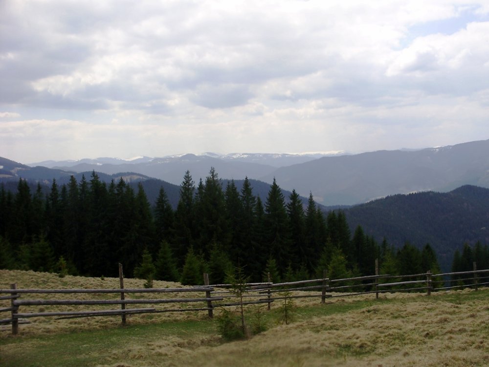 P4190295.JPG