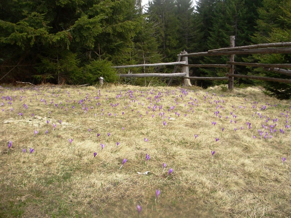 P4190300.JPG
