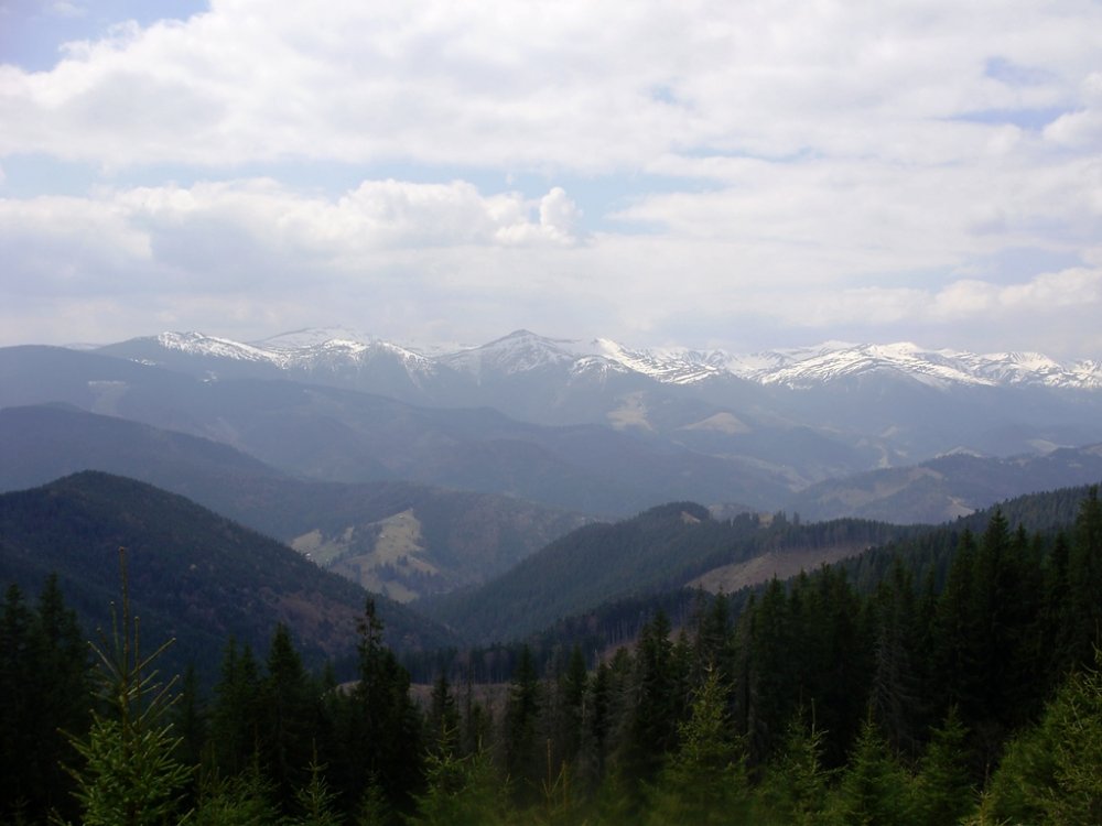 P4190307.JPG