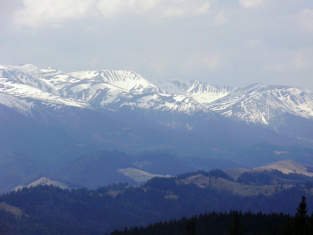 P4190310.JPG