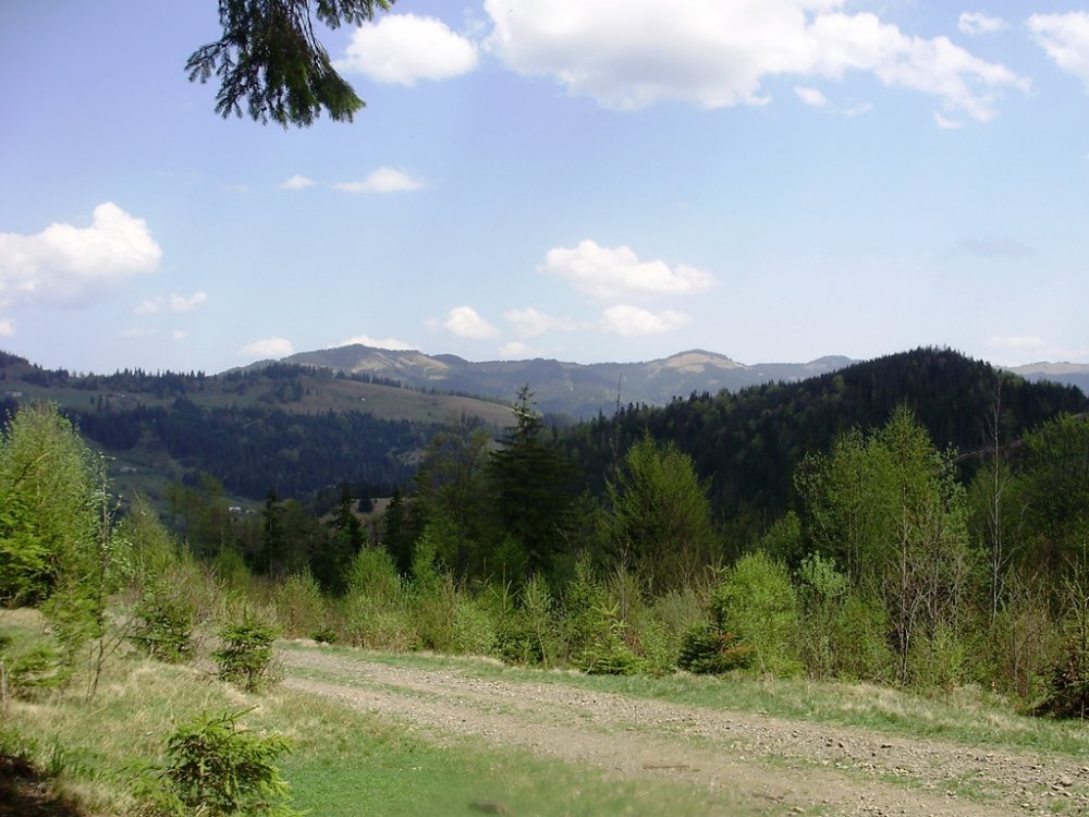 P4260292.JPG