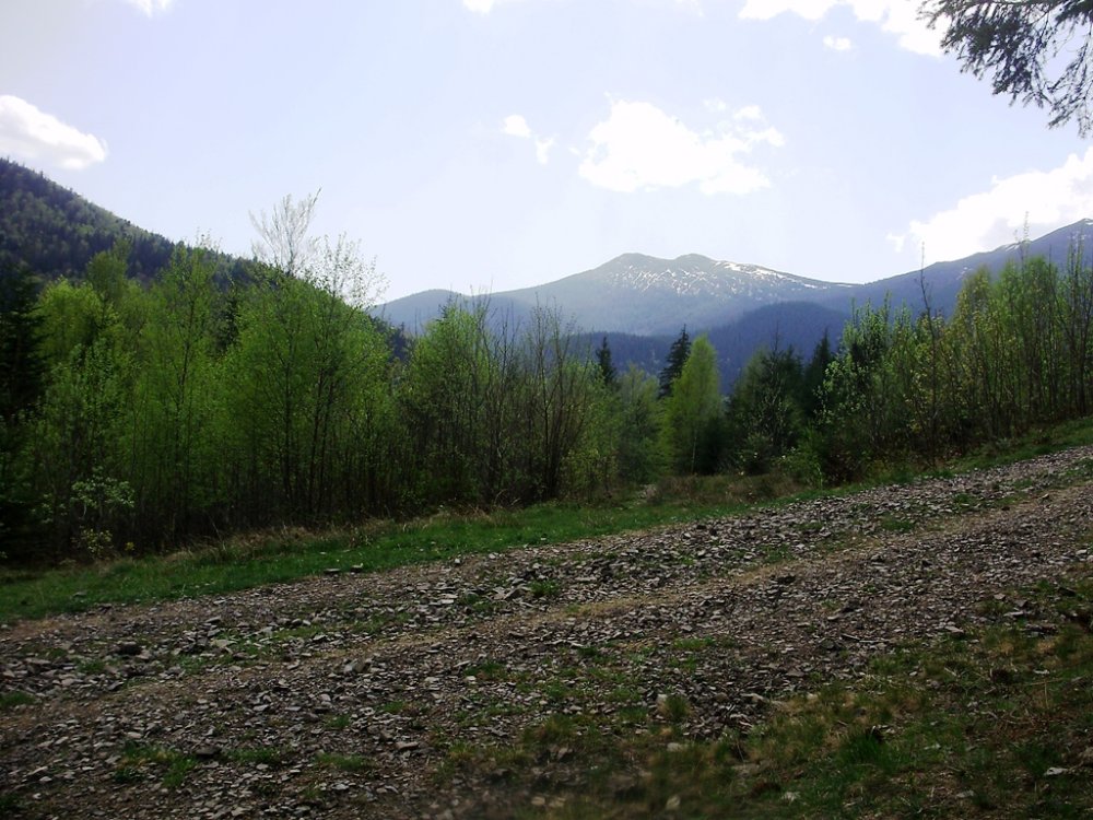 P4260293.JPG