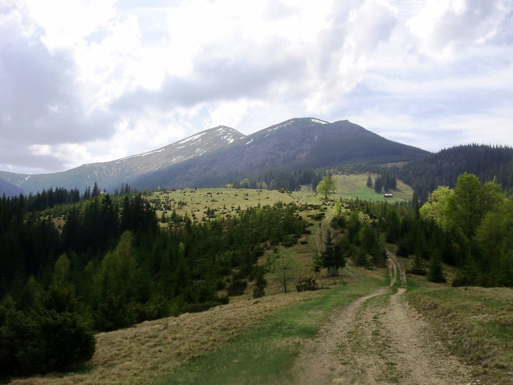 P4260294.JPG