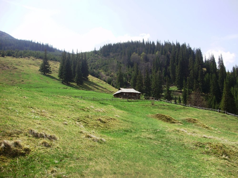 P4260299.JPG