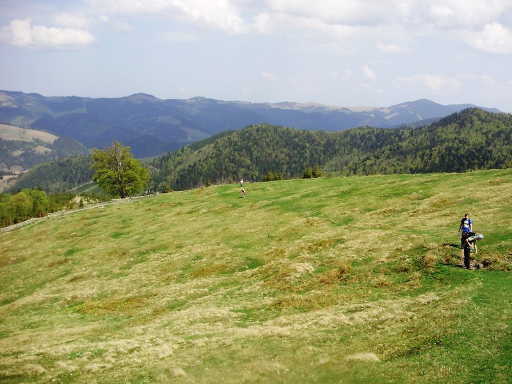P4260300.JPG