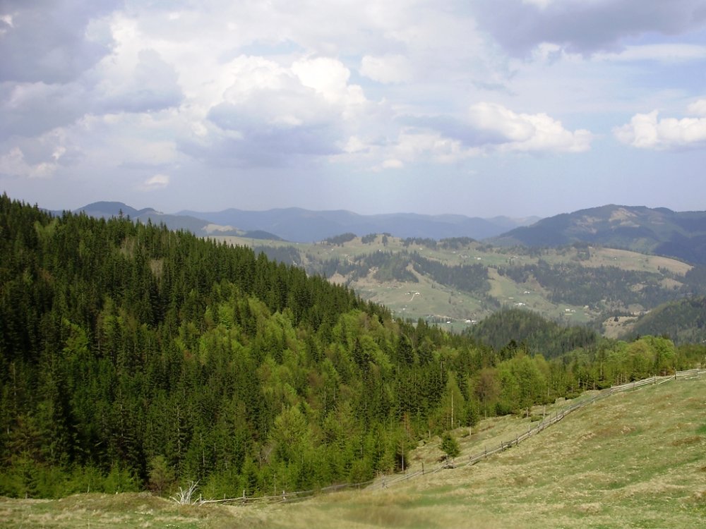 P4260301.JPG