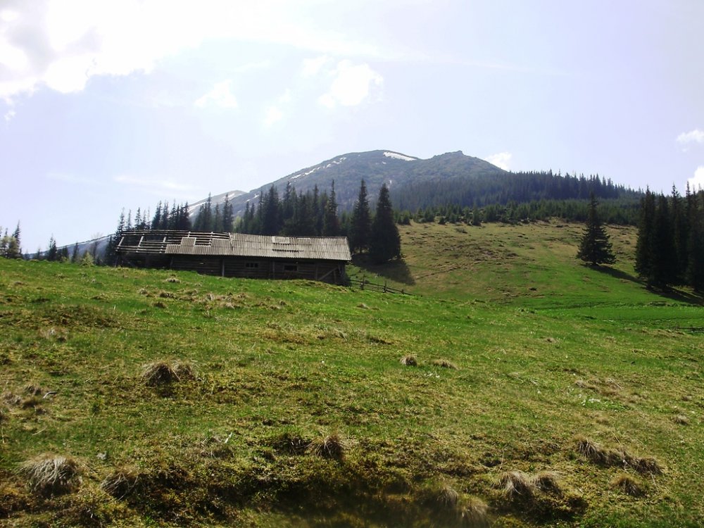 P4260303.JPG