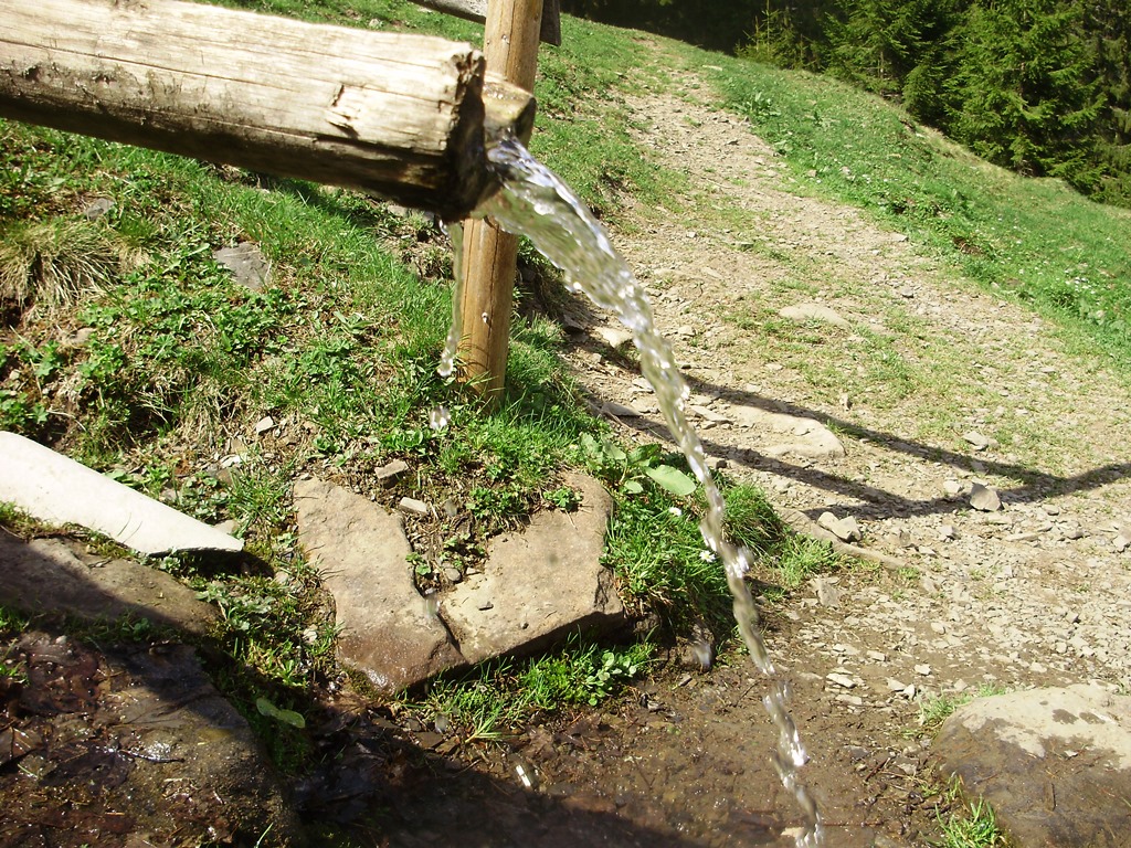 P4260312.JPG