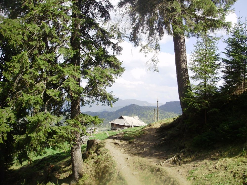 P4260313.JPG