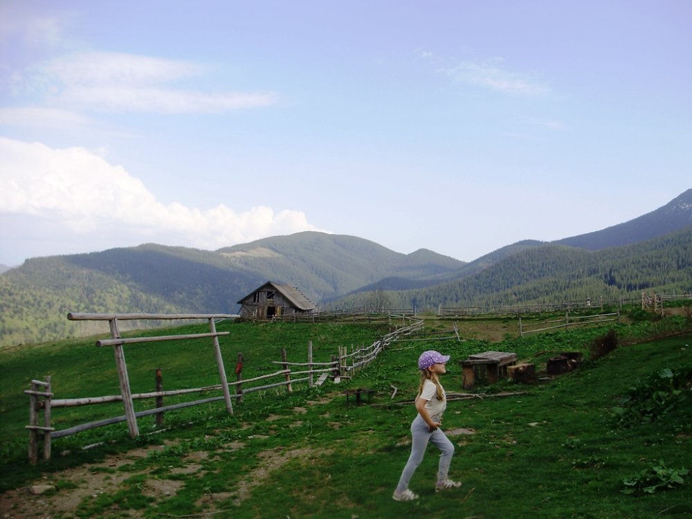 P4260318.JPG