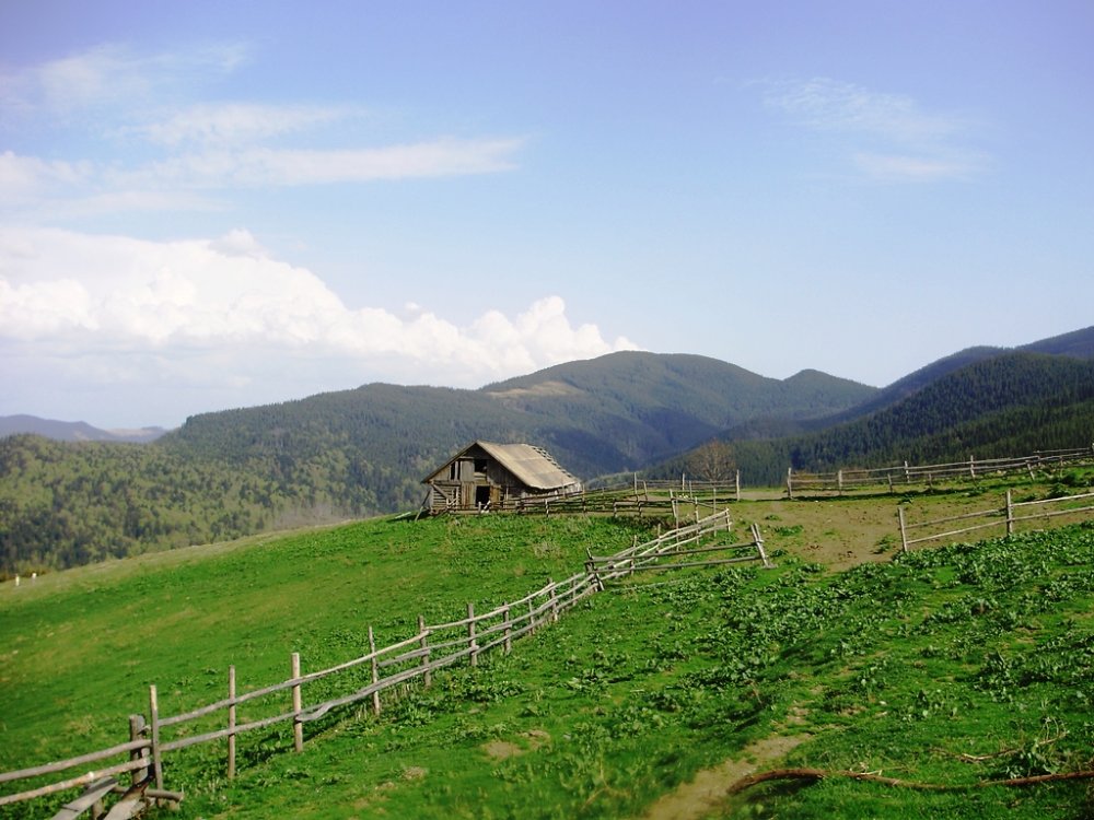 P4260321.JPG
