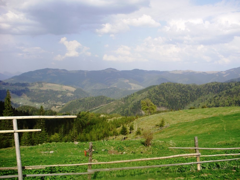 P4260322.JPG