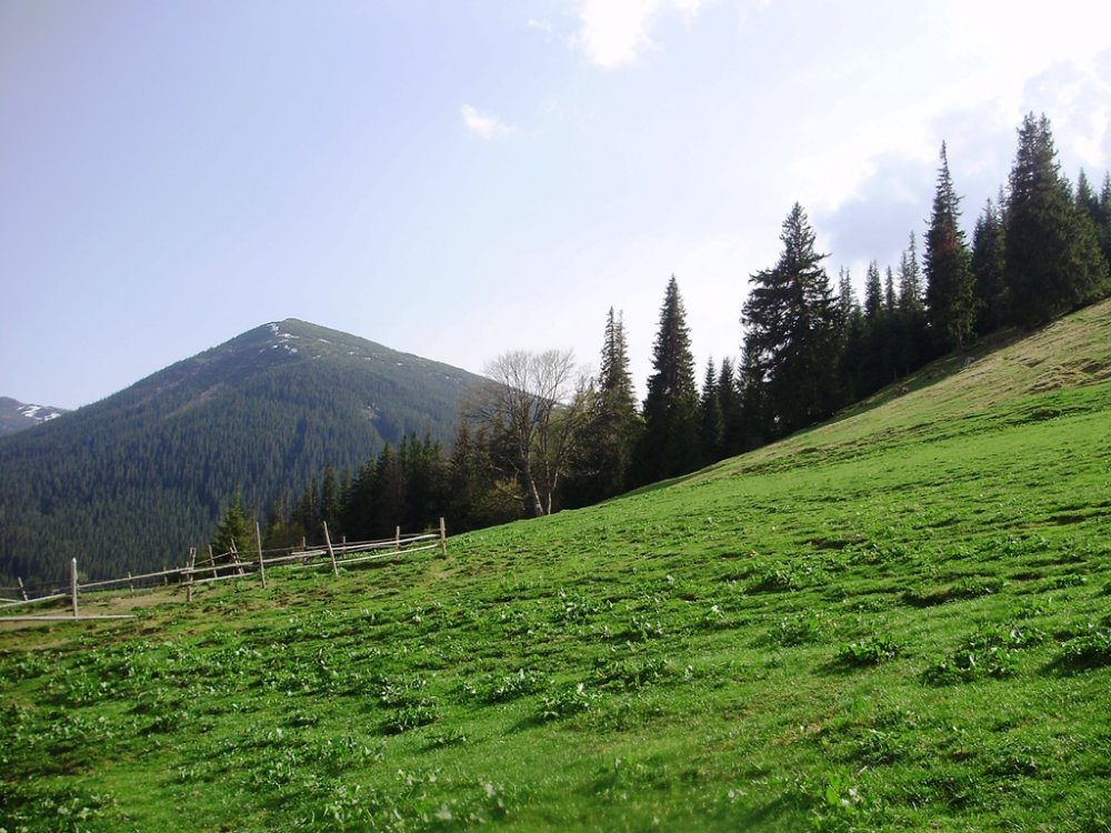 P4260323.JPG