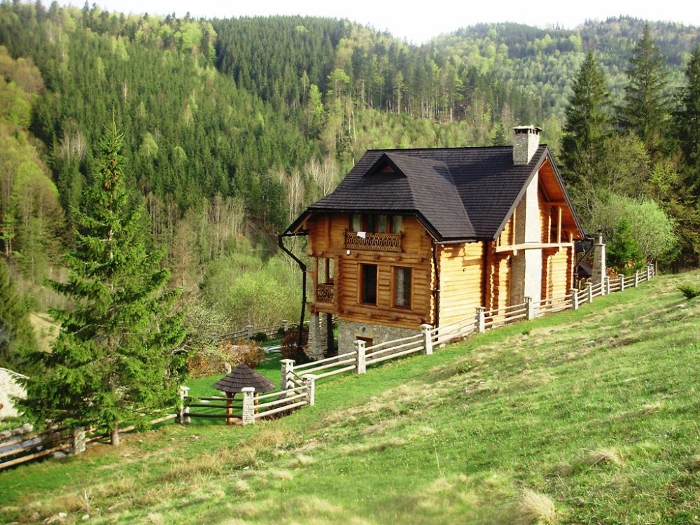 P4260324.JPG