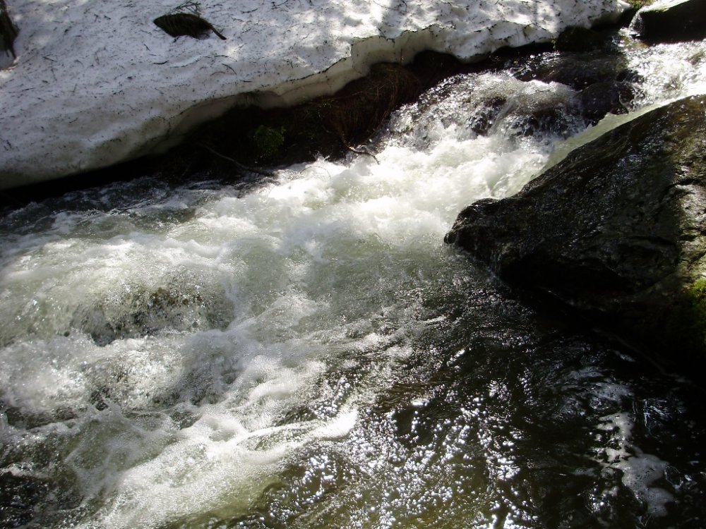 P4290287.JPG
