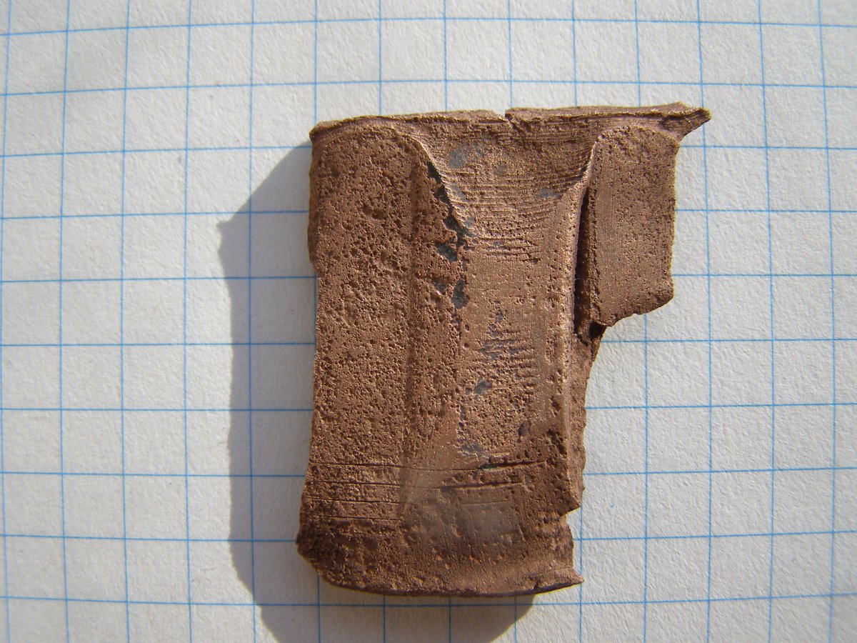 P5171564.JPG