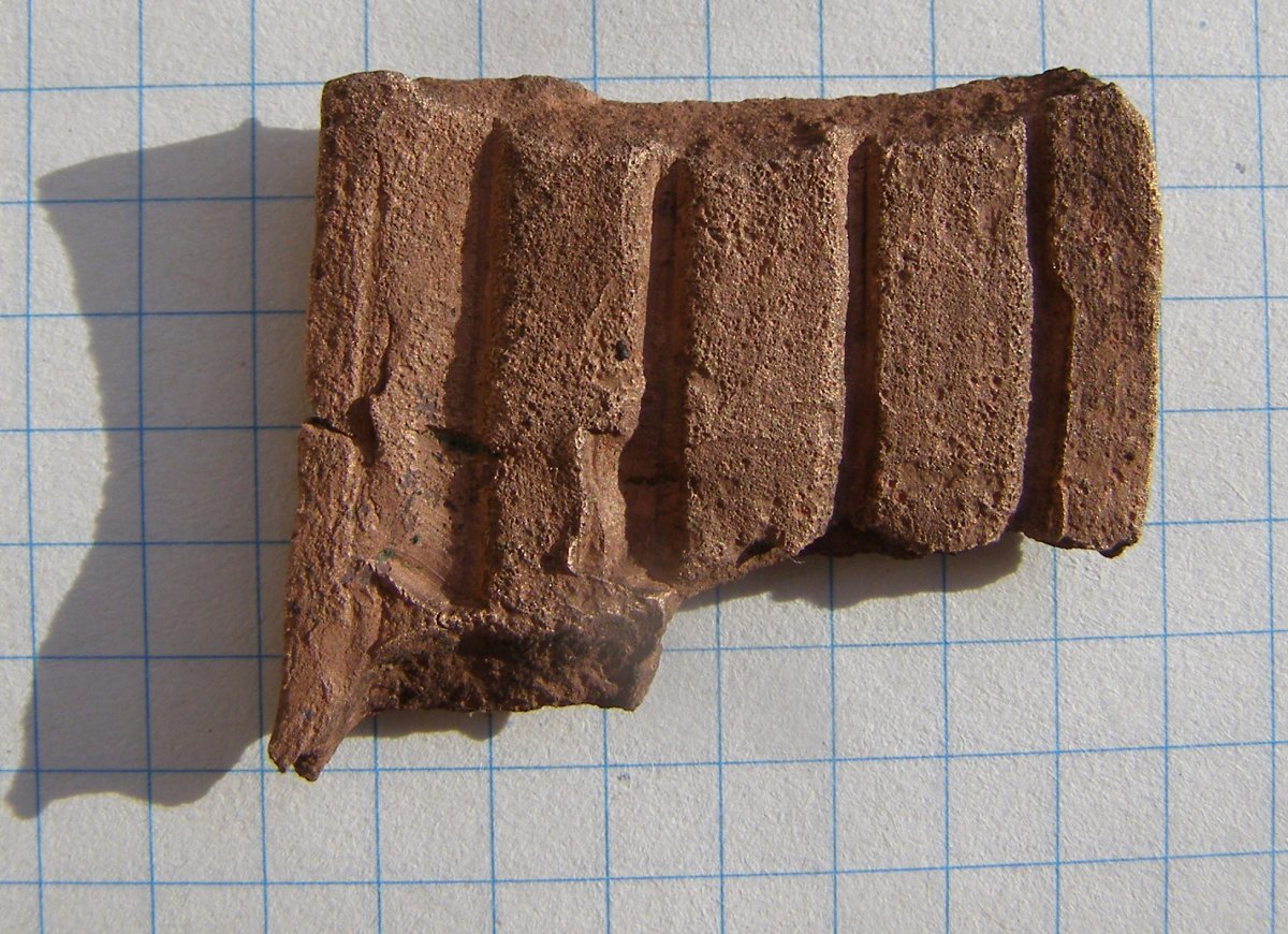 P5171566.JPG